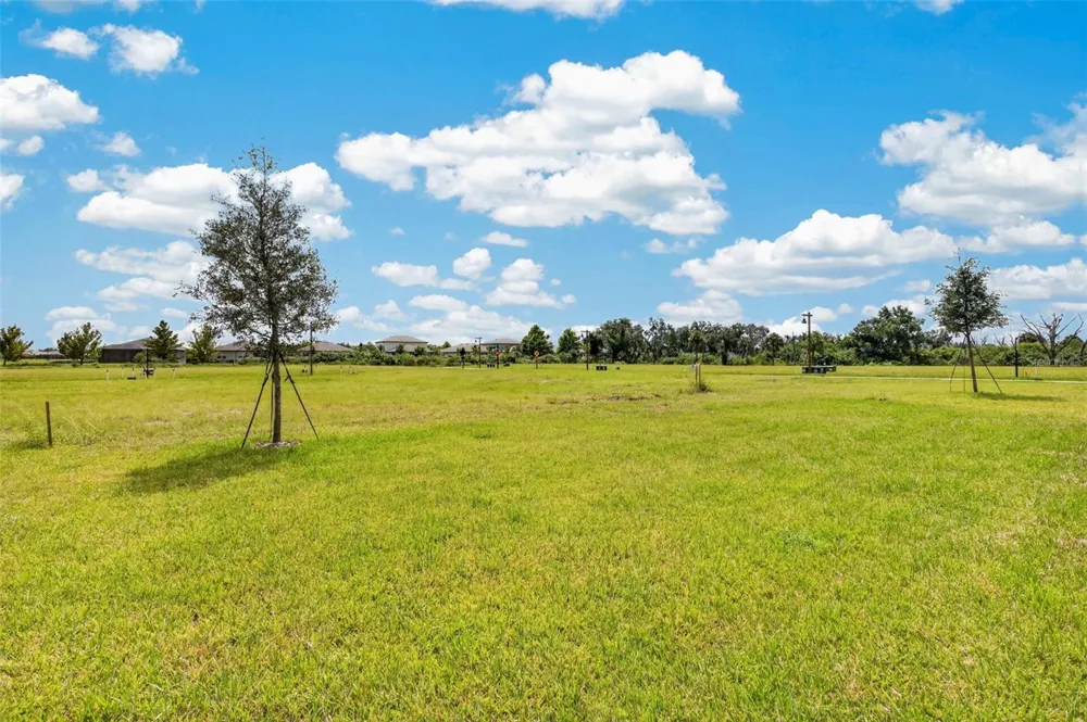 10924 RABBIT GROVE TRAIL Parrish, FL 34219