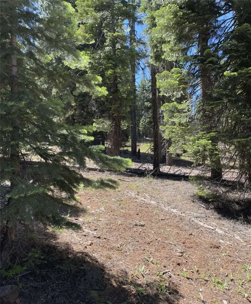 Range Road Alturas, CA 96101