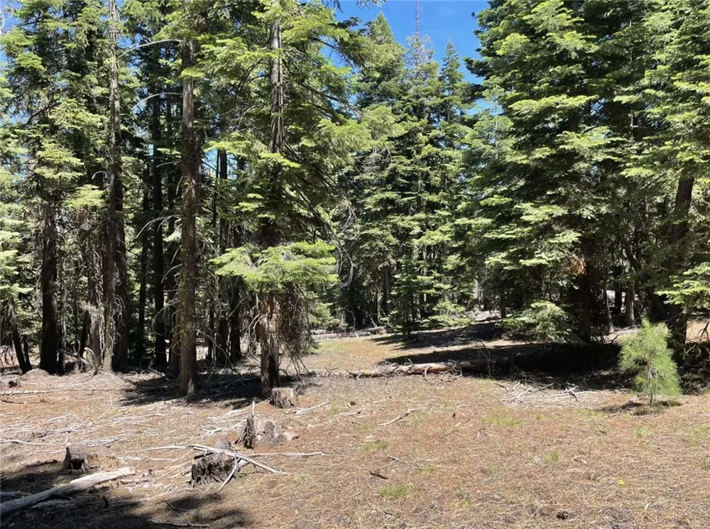 Range Road Alturas, CA 96101