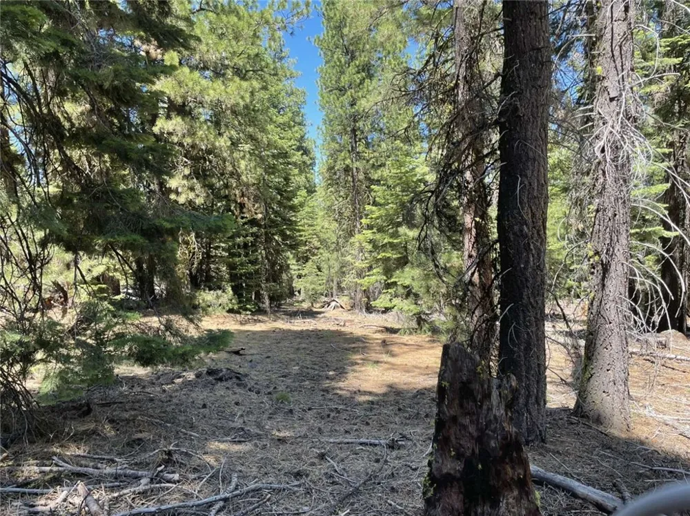 Range Road Alturas, CA 96101