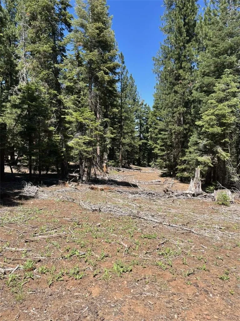 Range Road Alturas, CA 96101