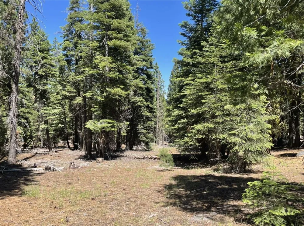 Range Road Alturas, CA 96101