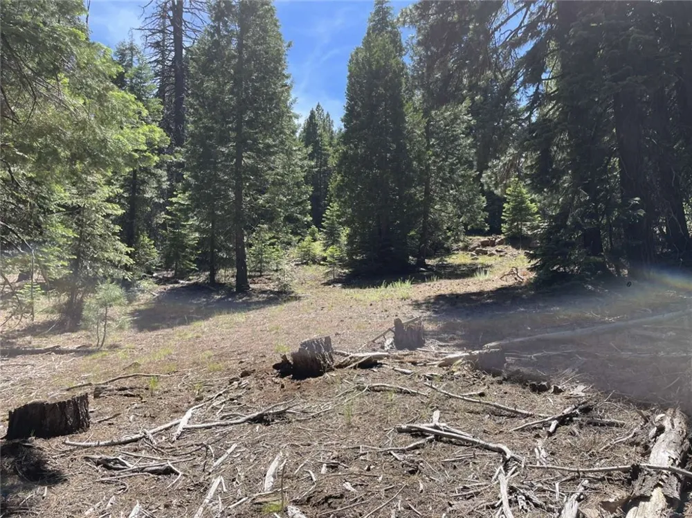 Range Road Alturas, CA 96101