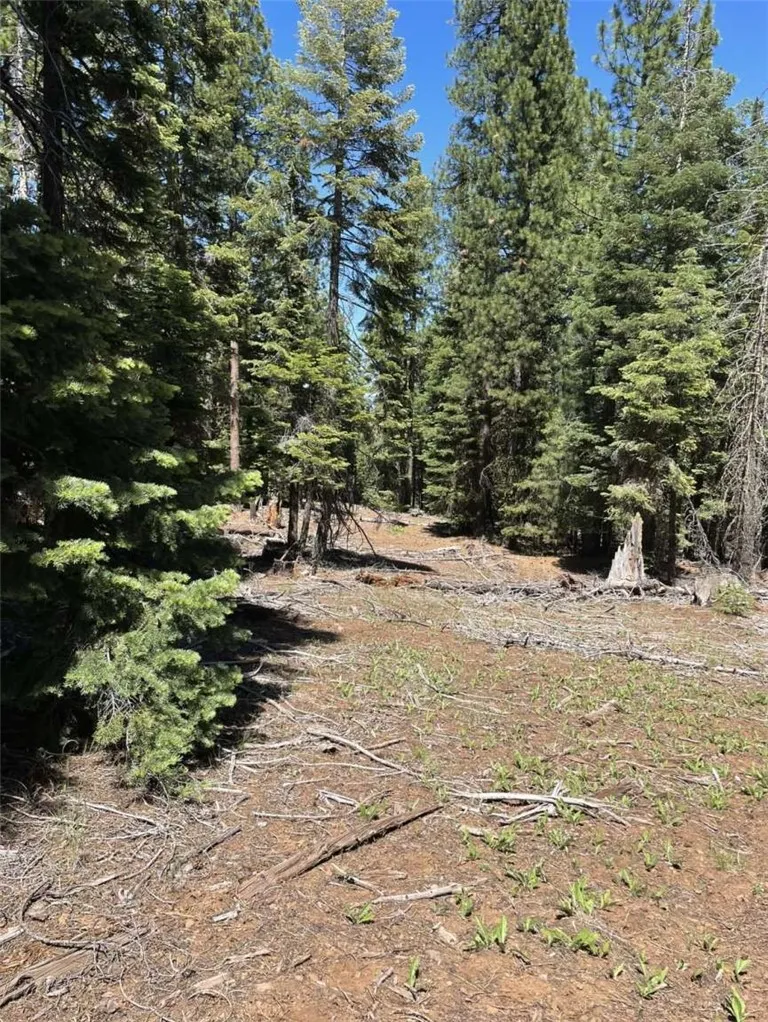 Range Road Alturas, CA 96101