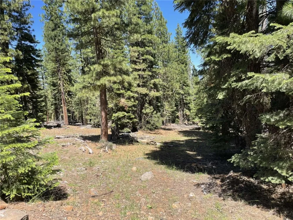 Range Road Alturas, CA 96101