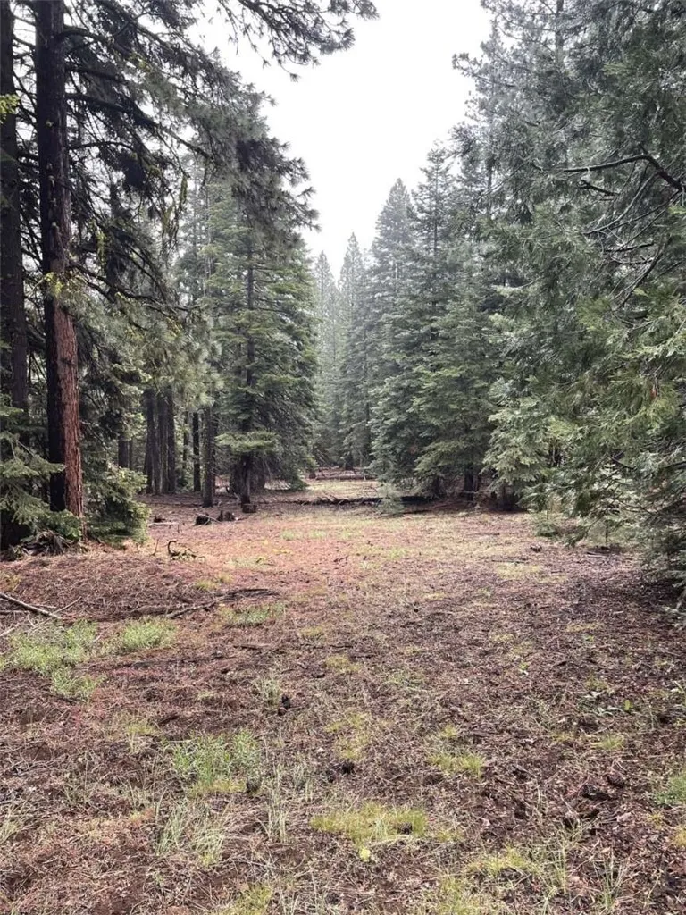 Range Road Alturas, CA 96101
