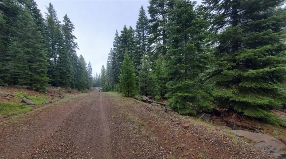 Range Road Alturas, CA 96101