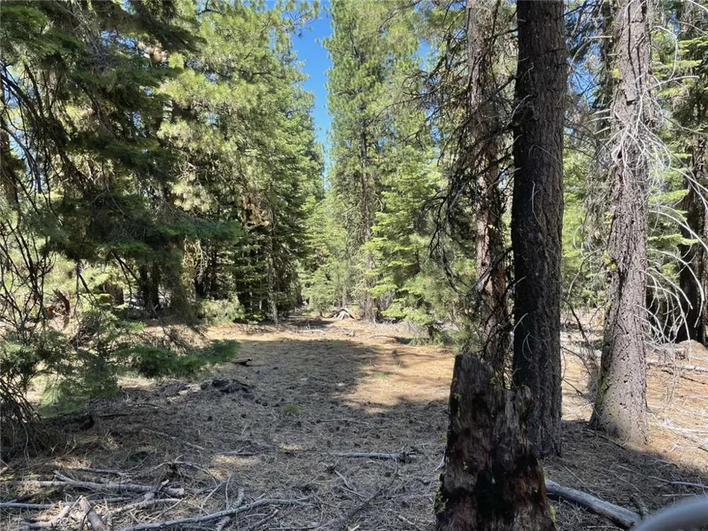 Range Road Alturas, CA 96101