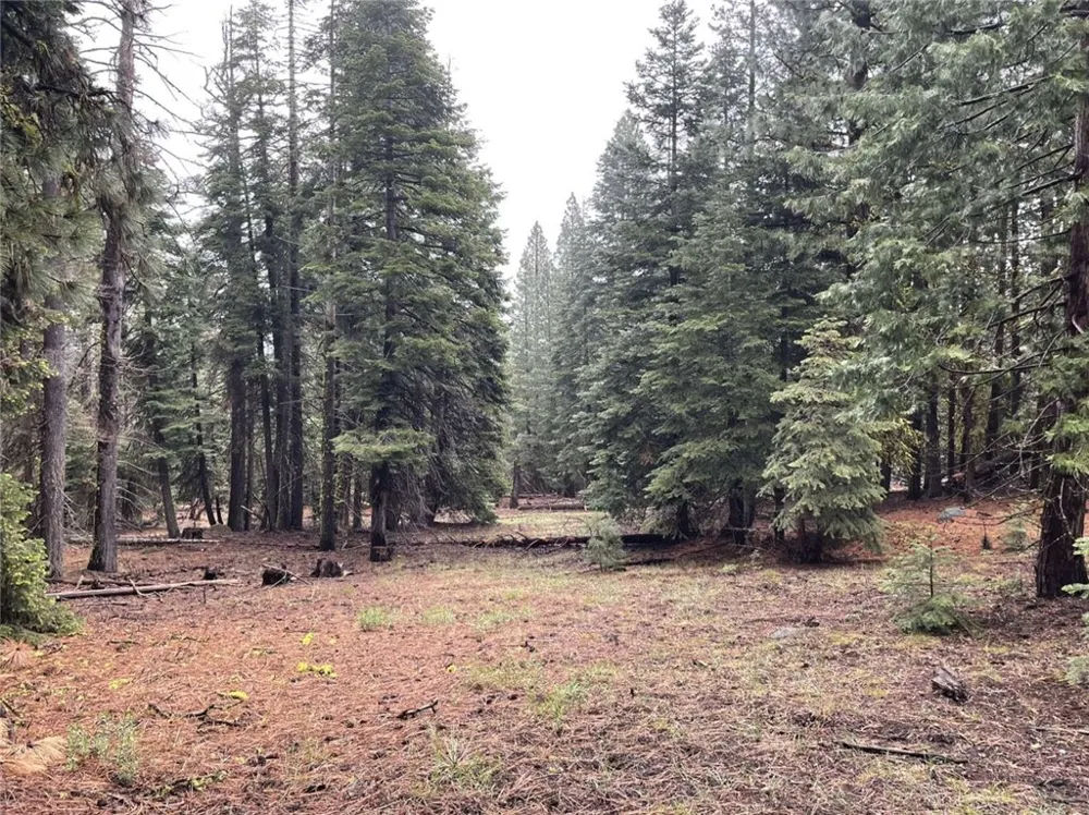 Range Road Alturas, CA 96101