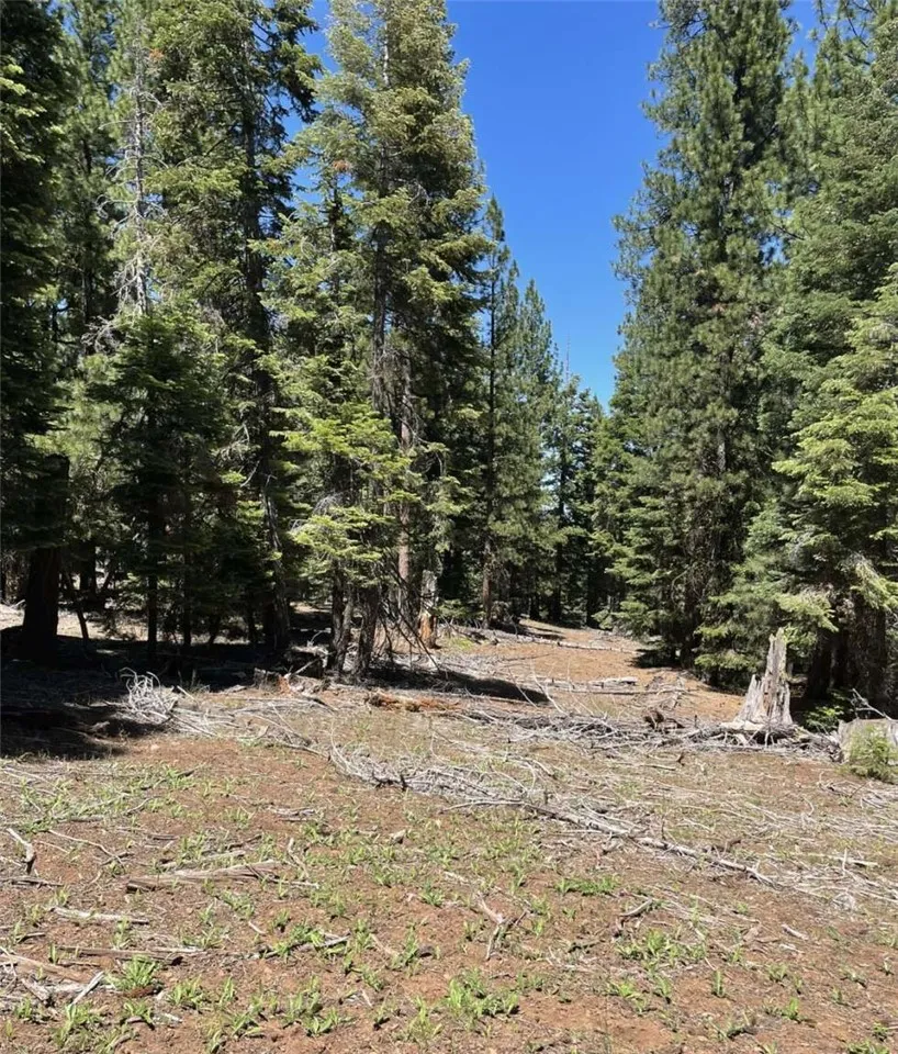 Range Road Alturas, CA 96101