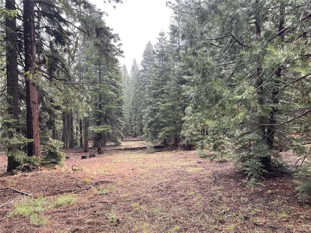 Range Road Alturas, CA 96101