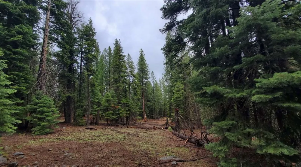 Range Road Alturas, CA 96101