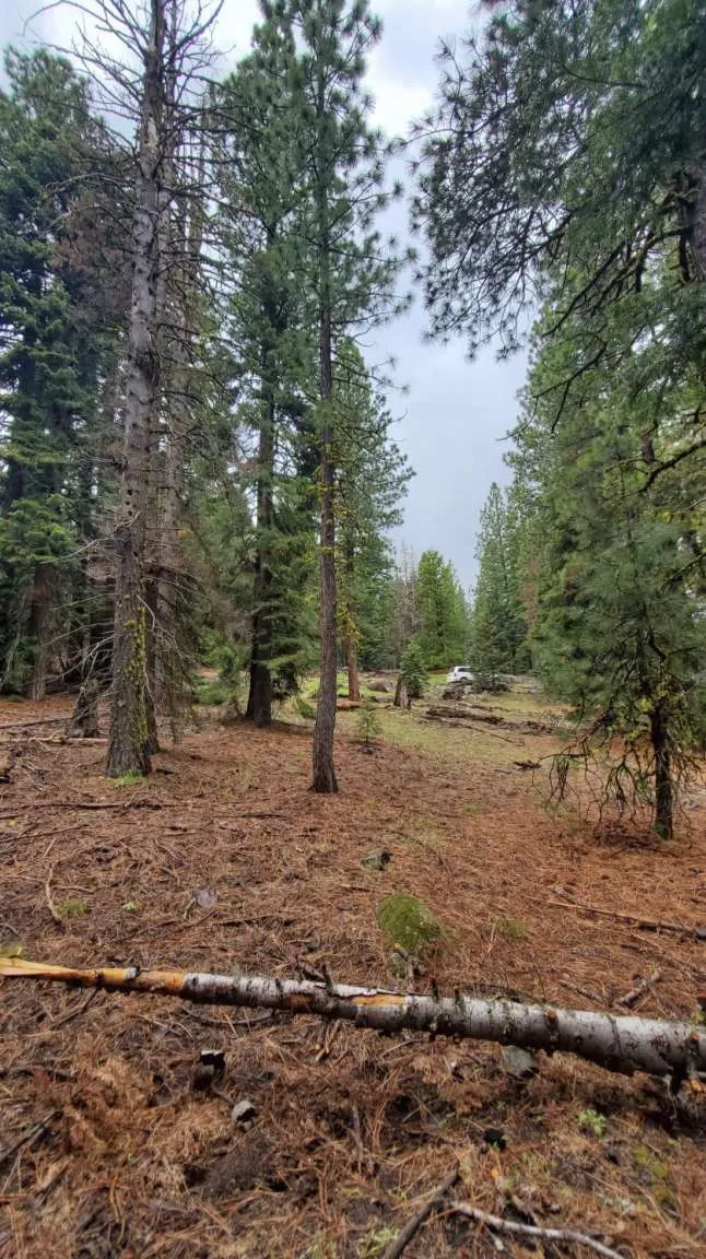 Range Road Alturas, CA 96101