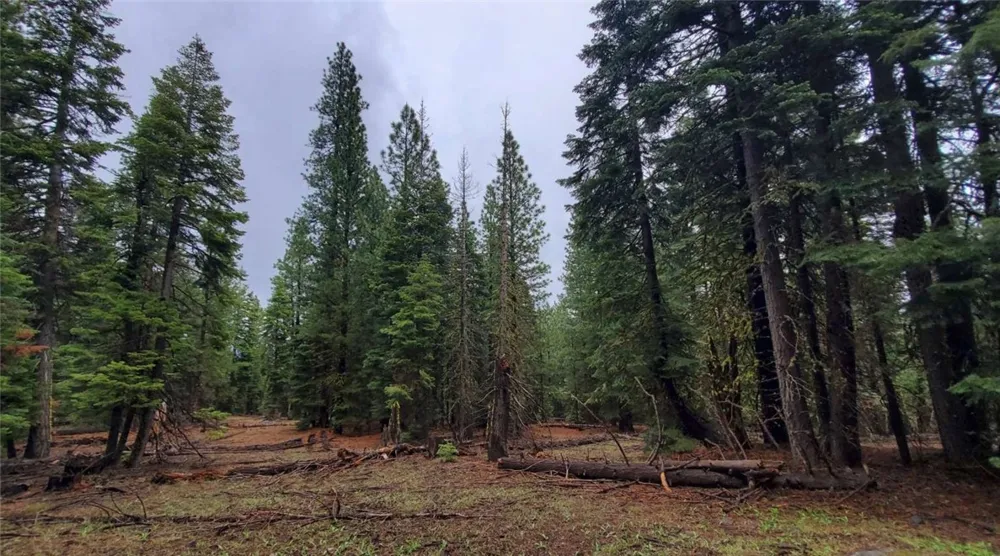 Range Road Alturas, CA 96101