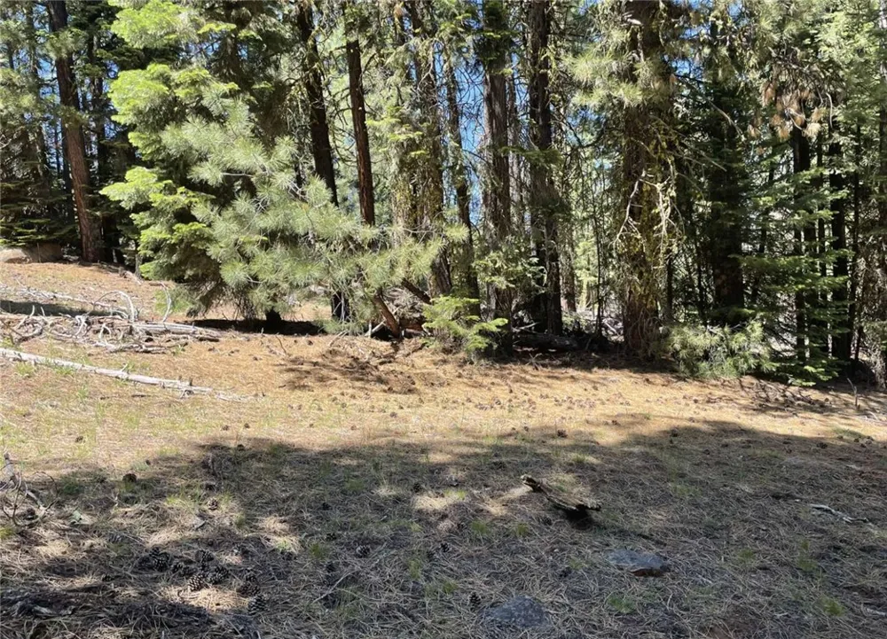 Range Road Alturas, CA 96101