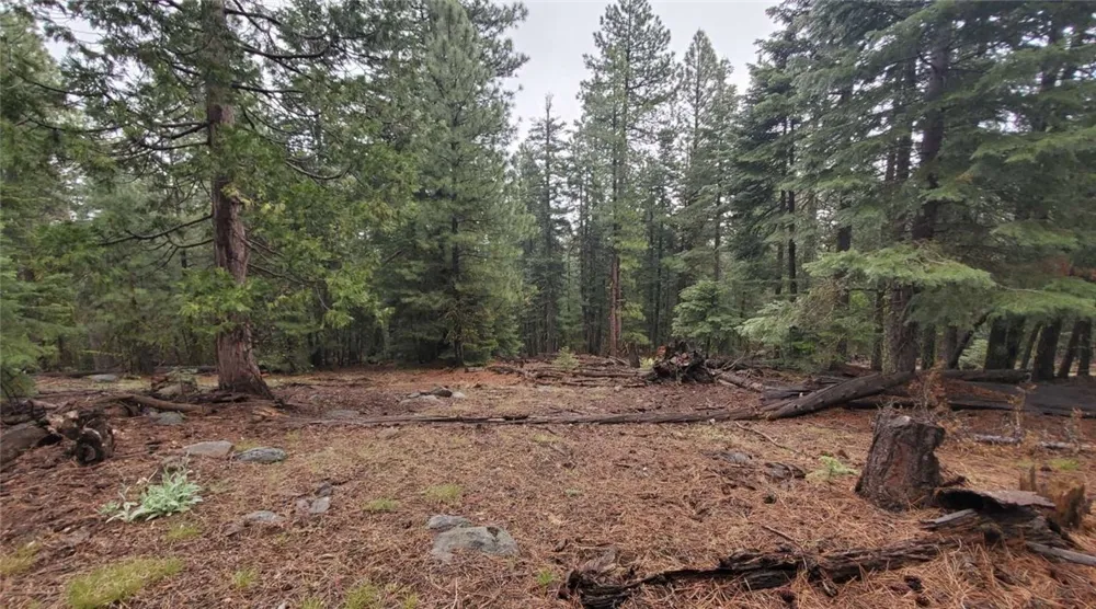 Range Road Alturas, CA 96101