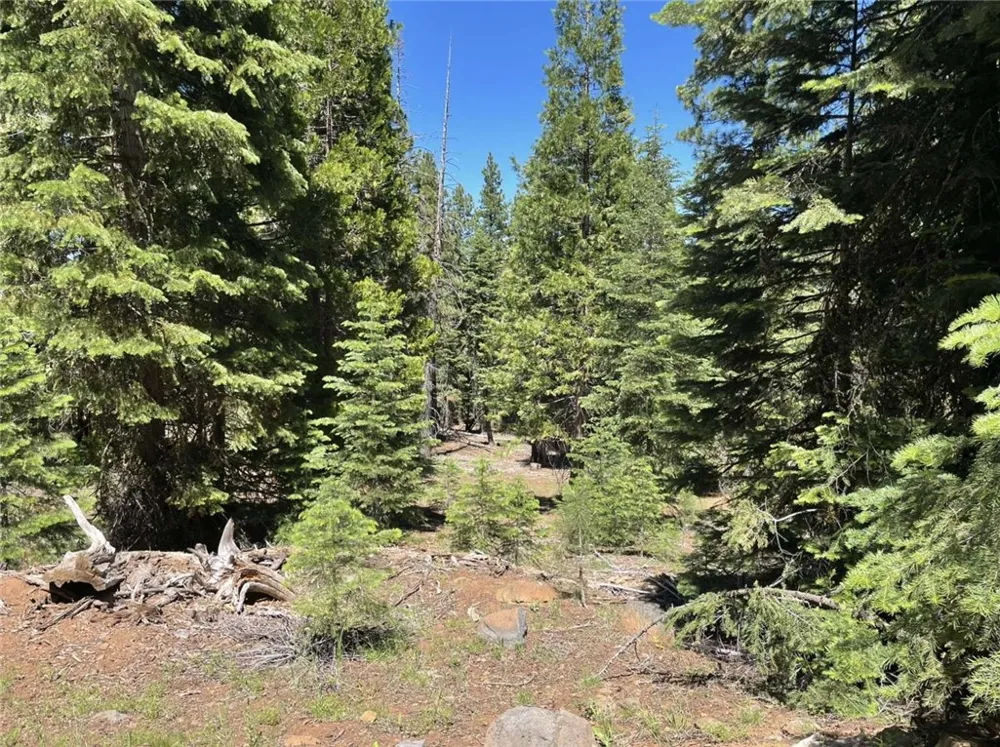 Range Road Alturas, CA 96101
