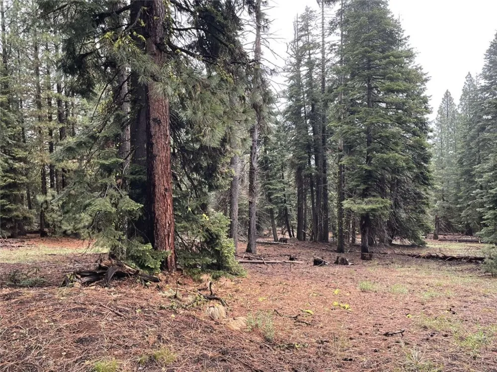 Range Road Alturas, CA 96101