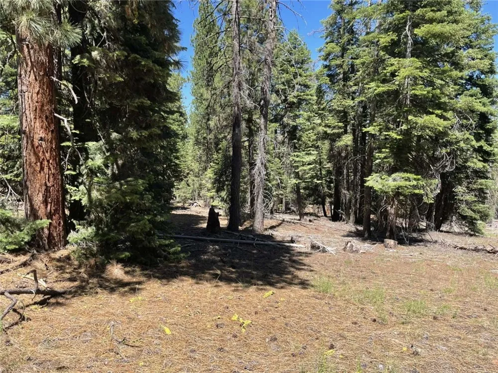 Range Road Alturas, CA 96101