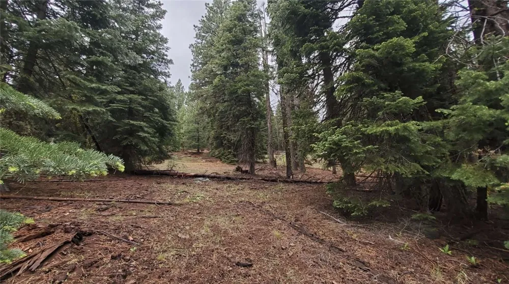 Range Road Alturas, CA 96101