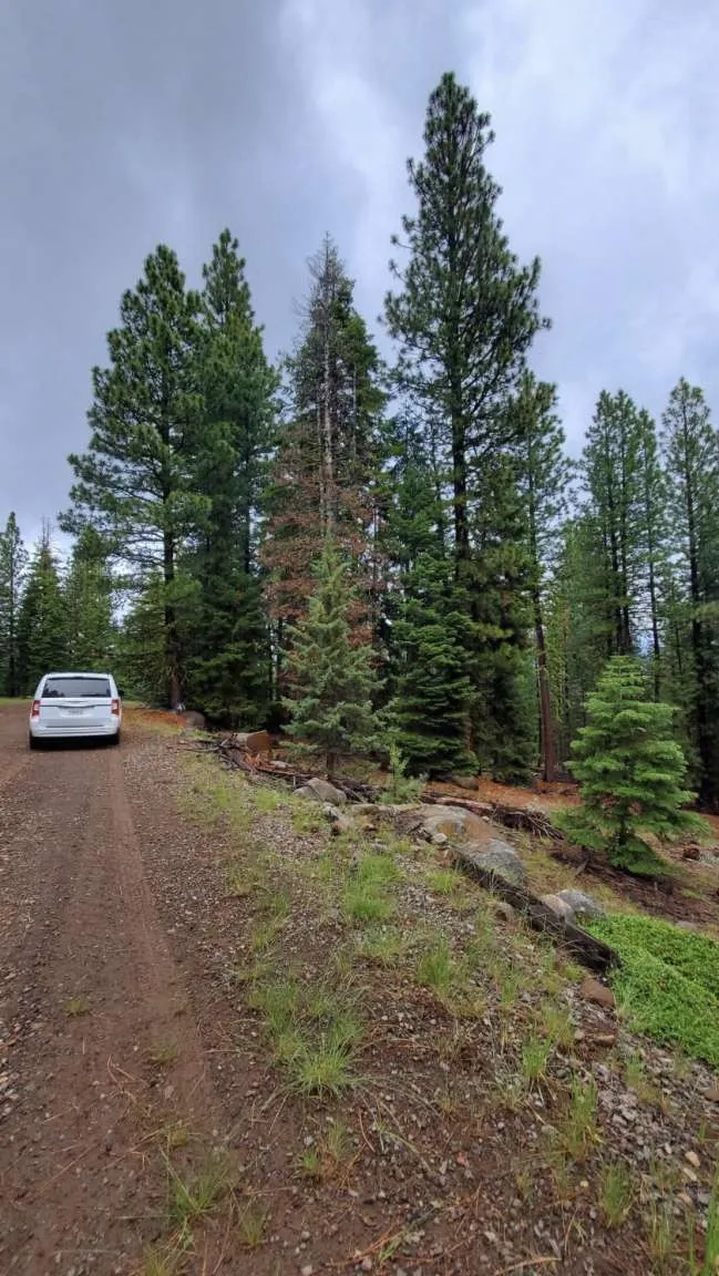 Range Road Alturas, CA 96101