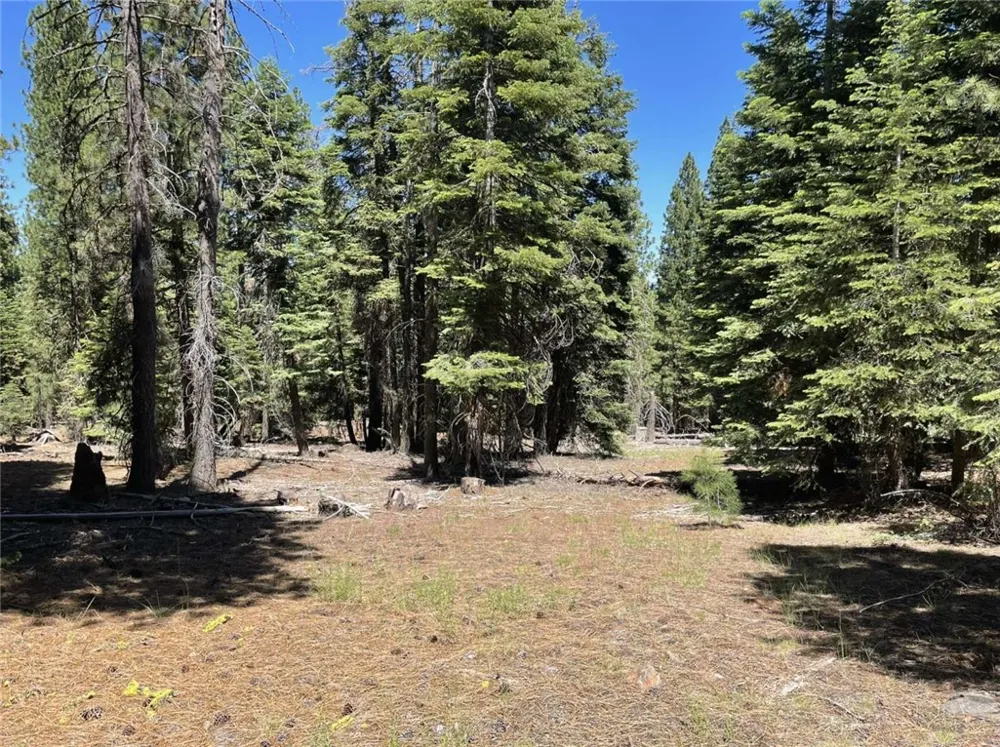 Range Road Alturas, CA 96101