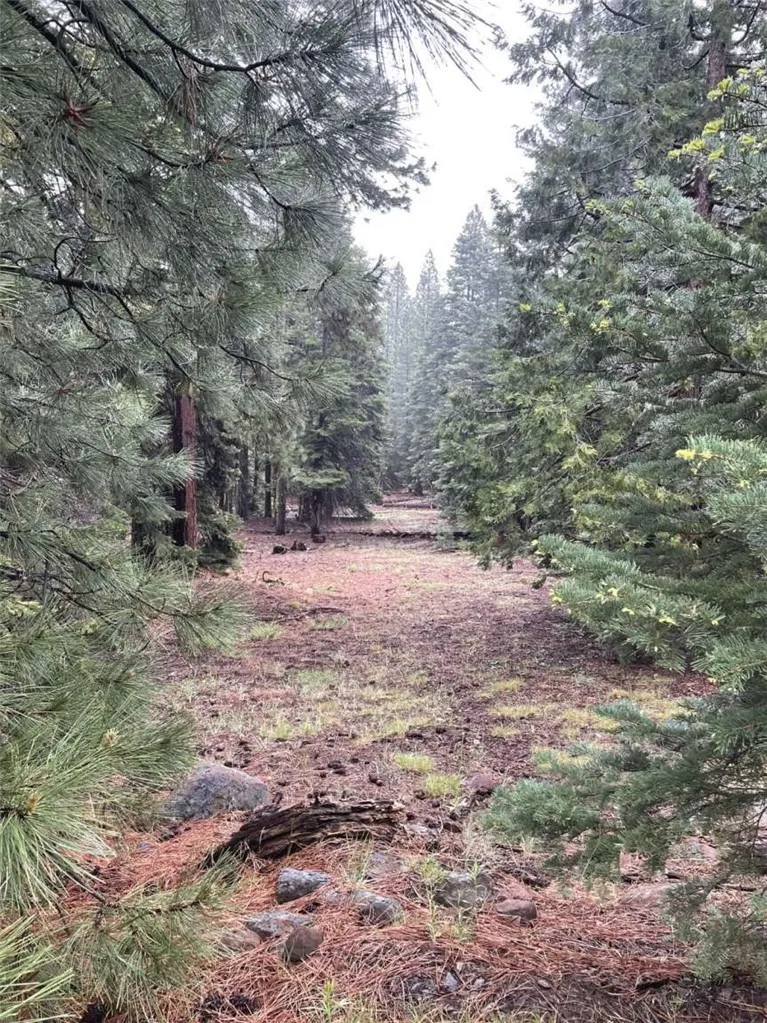 Range Road Alturas, CA 96101