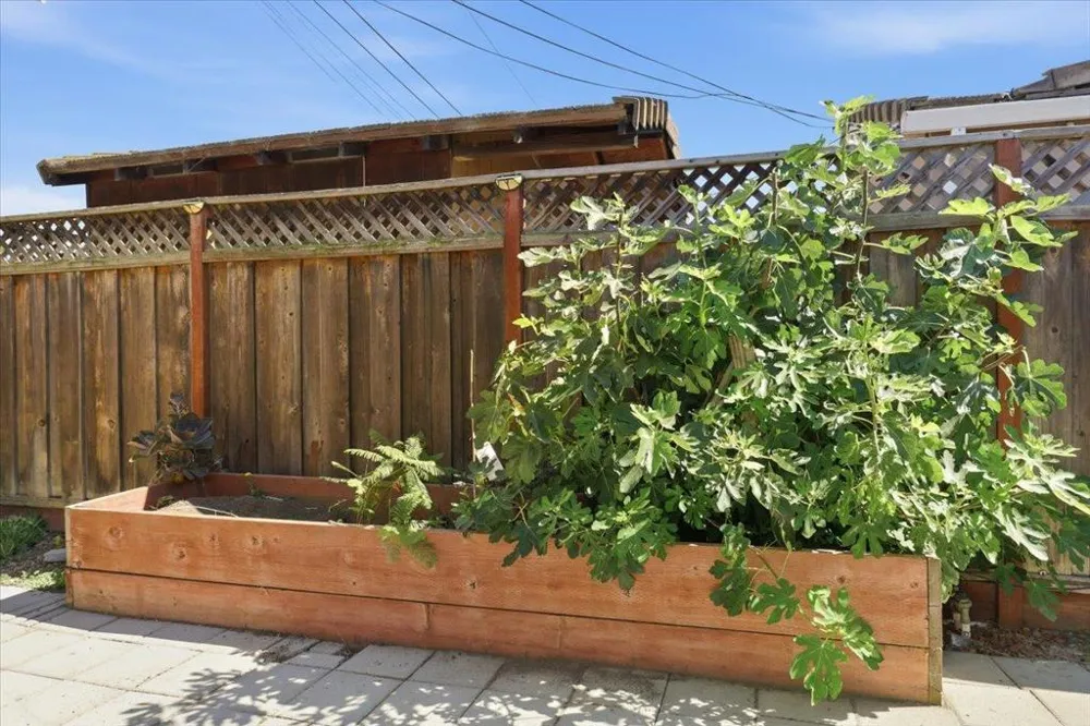 37612 Canterbury Street Fremont, CA 94536