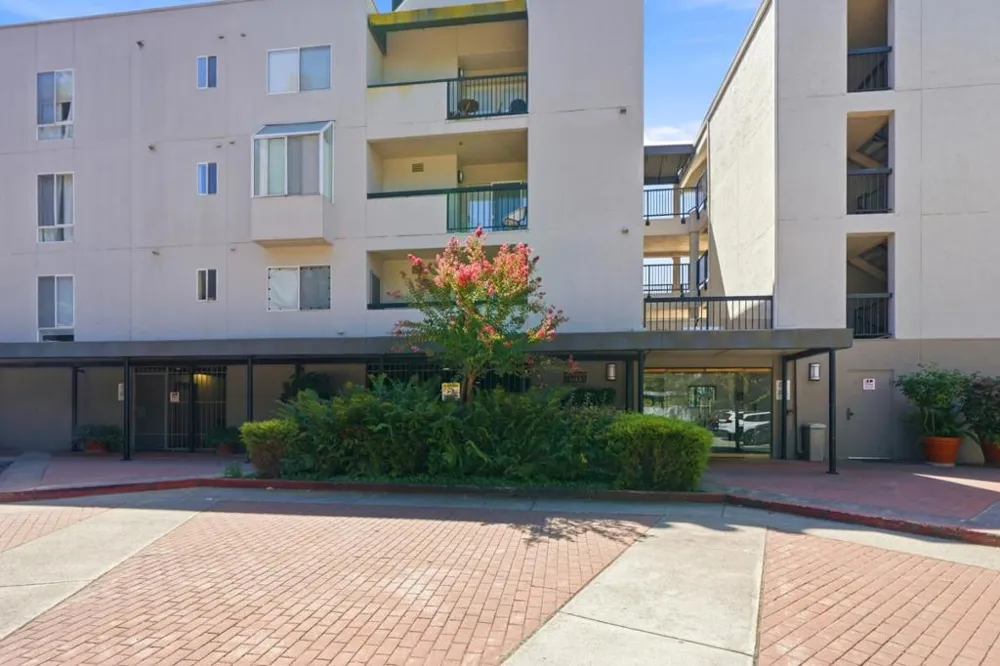 3183 Wayside Plaza #315 Walnut Creek, CA 94597