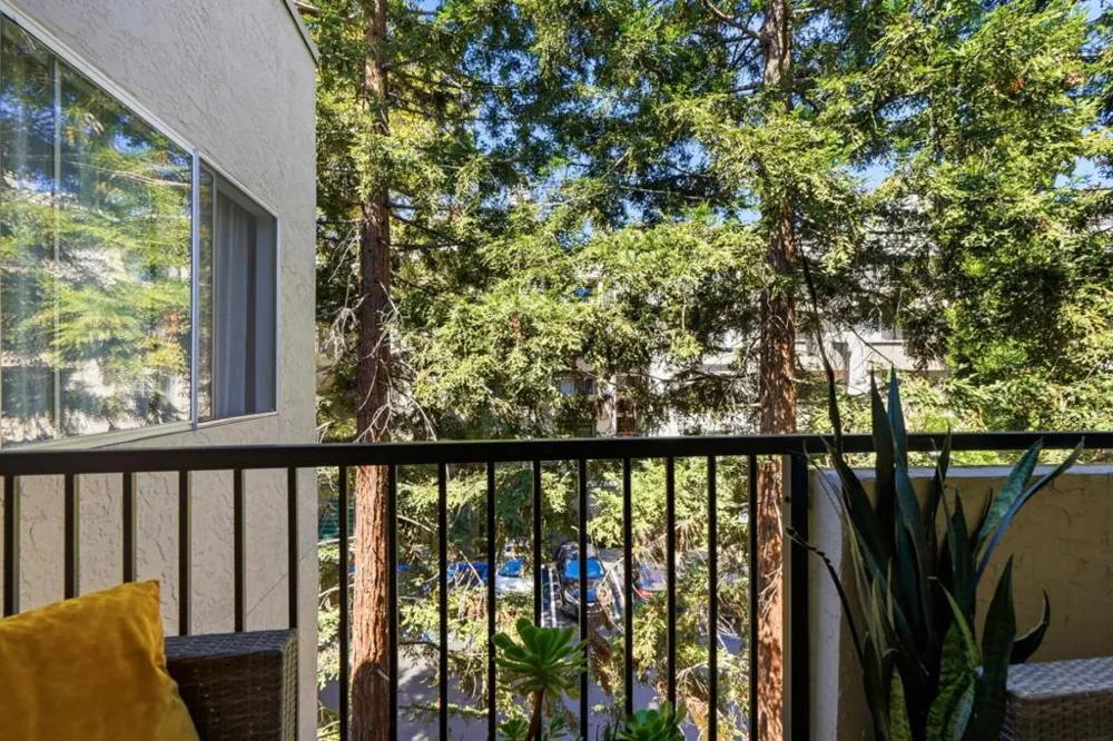 3183 Wayside Plaza #315 Walnut Creek, CA 94597