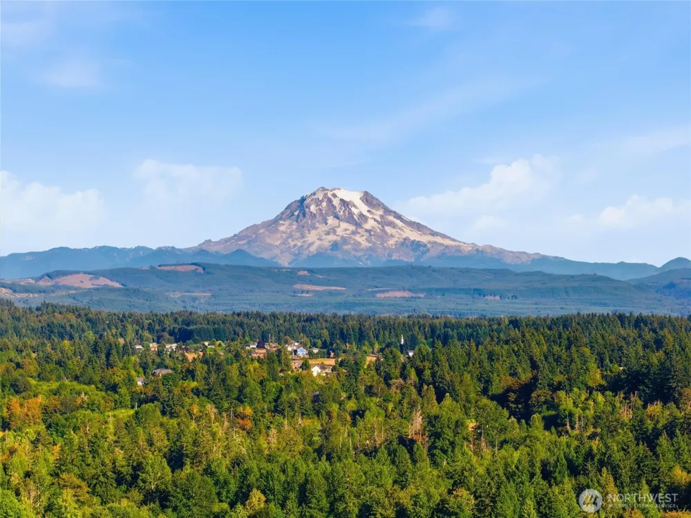 11920 215th Street E Graham, WA 98338