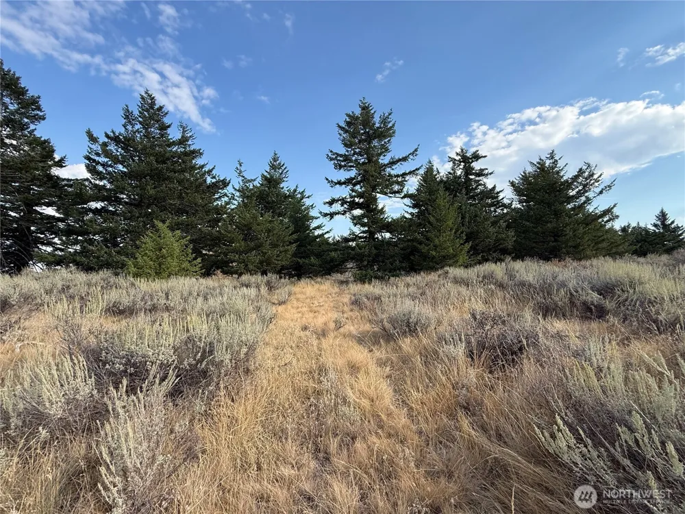 111 Off Log Camp rd Oroville, WA 98844