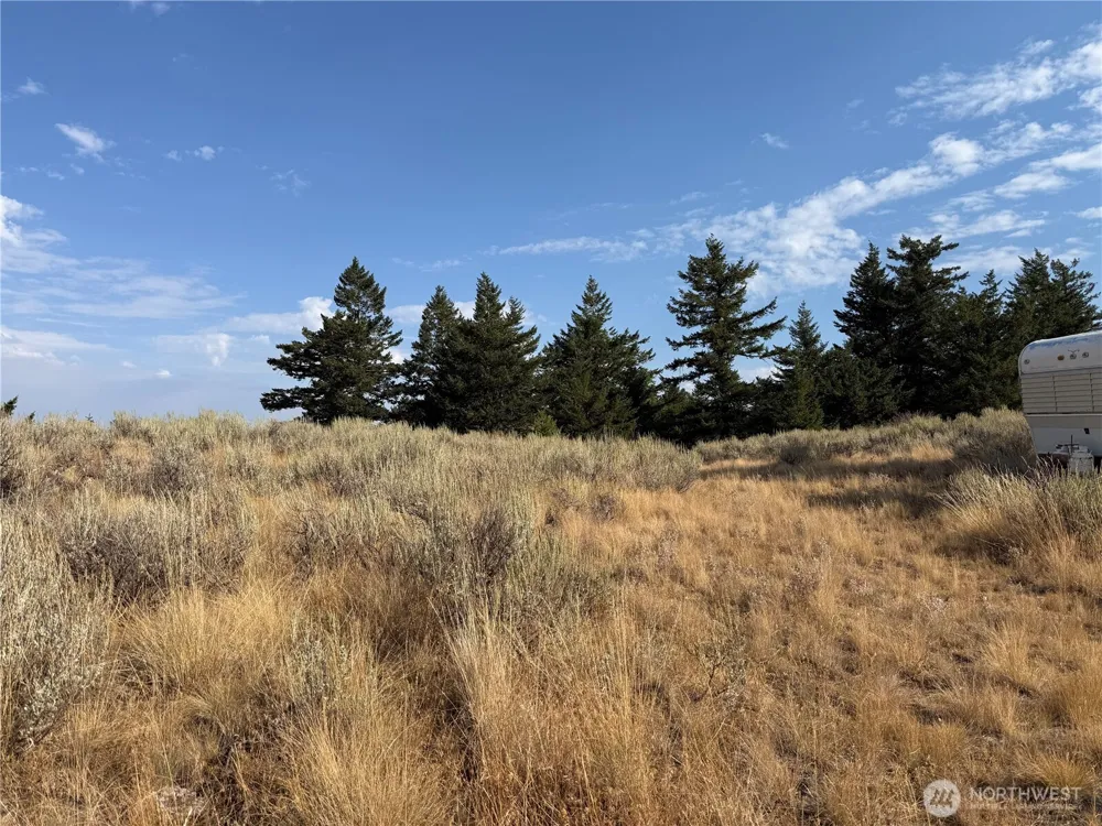 111 Off Log Camp rd Oroville, WA 98844