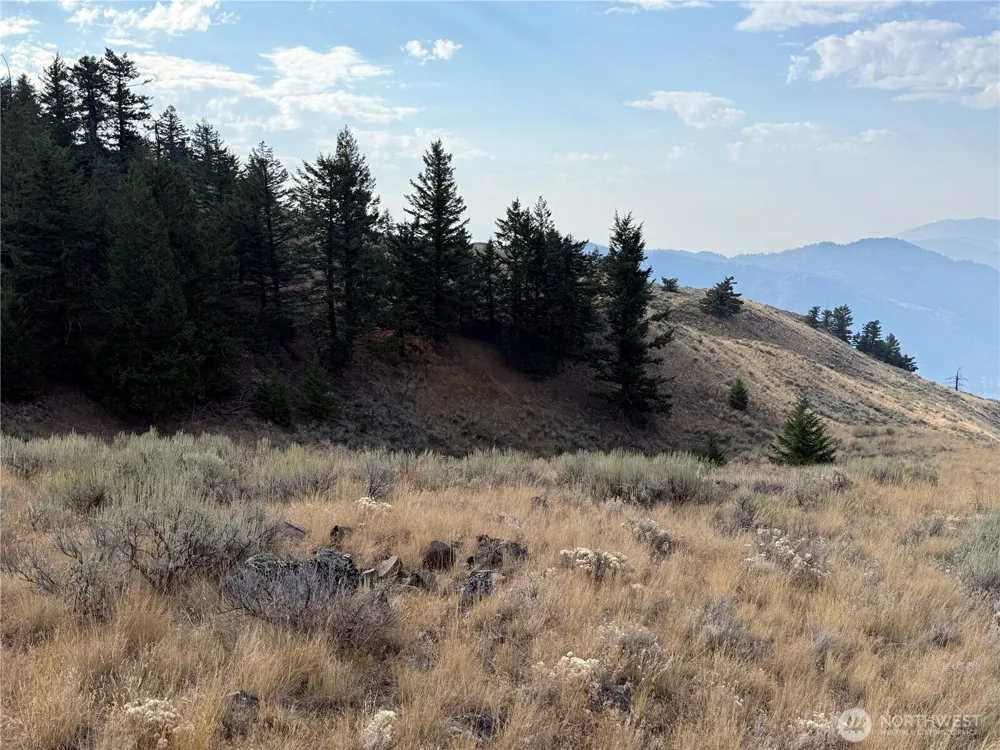 111 Off Log Camp rd Oroville, WA 98844