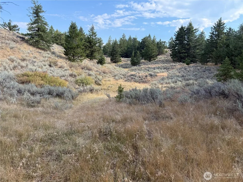 111 Off Log Camp rd Oroville, WA 98844