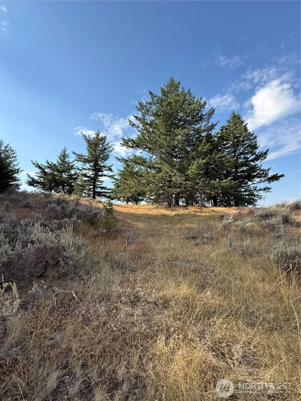 111 Off Log Camp rd Oroville, WA 98844