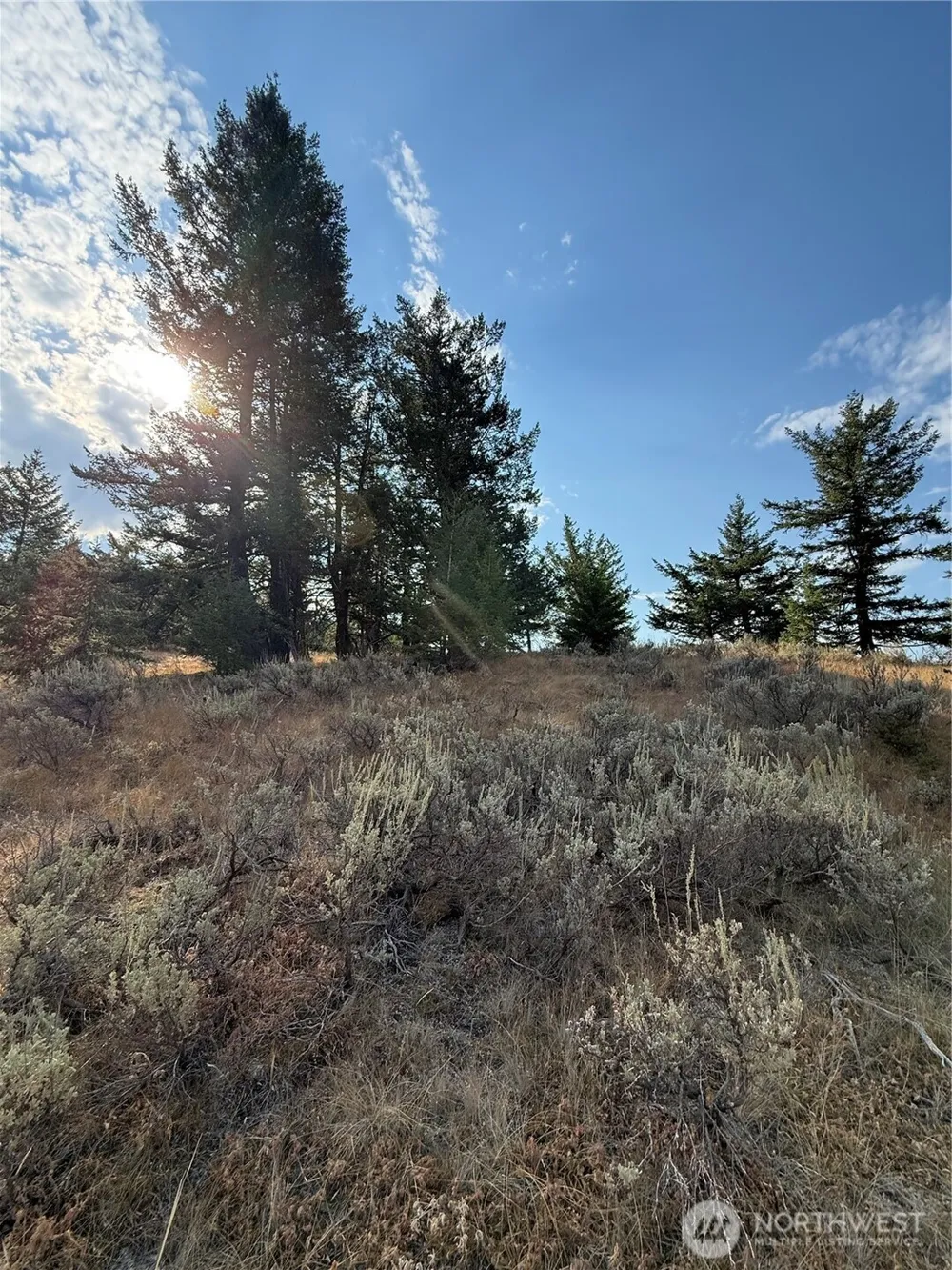 111 Off Log Camp rd Oroville, WA 98844