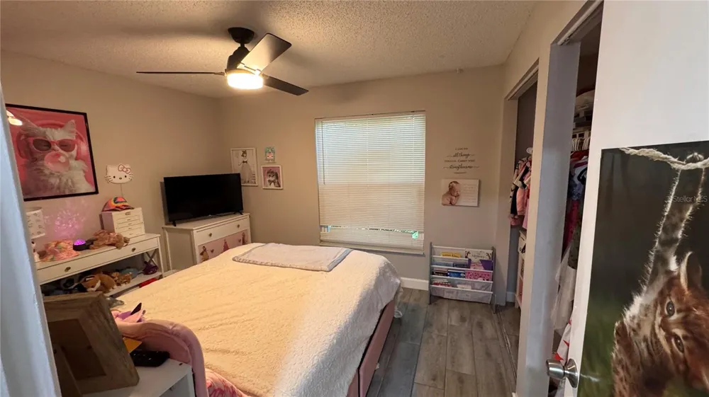 3602 MONTE RIO STREET New Port Richey, FL 34655
