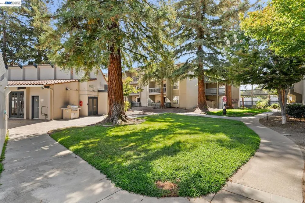 1087 Murrieta Blvd #339 Livermore, CA 94550
