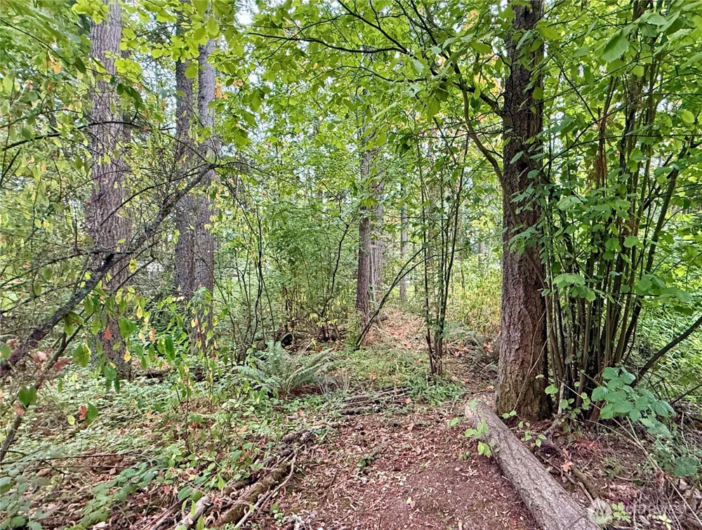 31719 41st Avenue E Eatonville, WA 98328