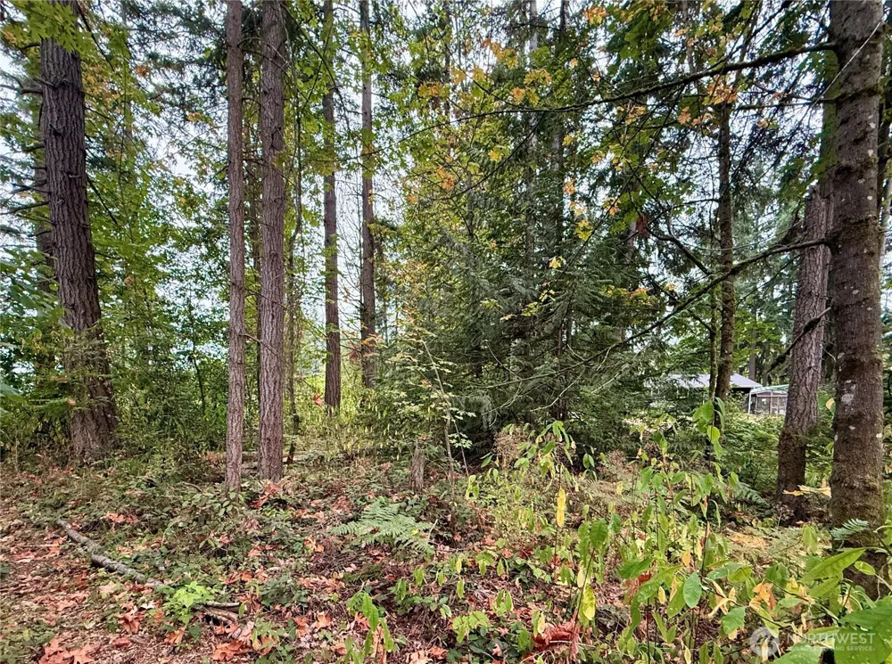 31719 41st Avenue E Eatonville, WA 98328