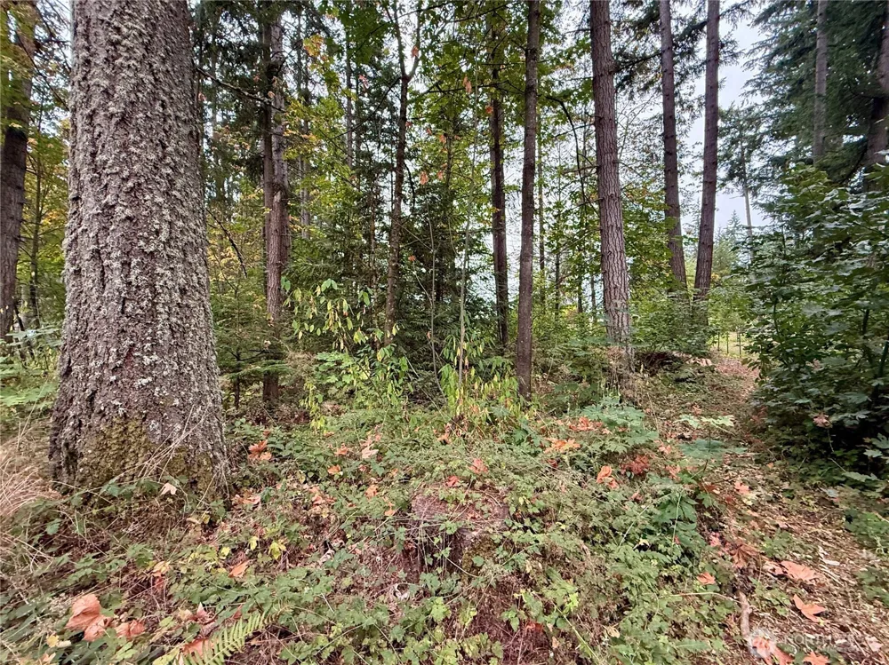 31719 41st Avenue E Eatonville, WA 98328