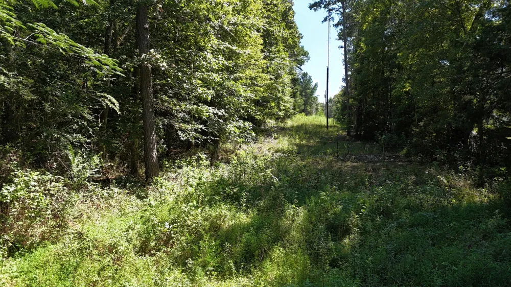 0 Fezzell Road Decatur, TN 37322