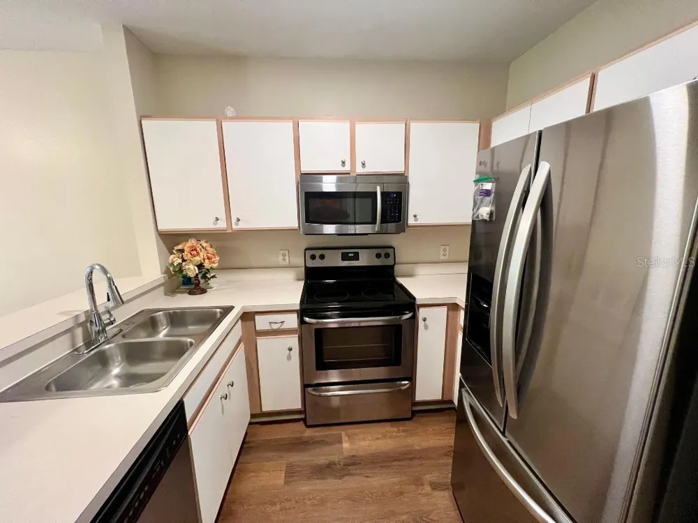 30202 SWINFORD LANE Wesley Chapel, FL 33543