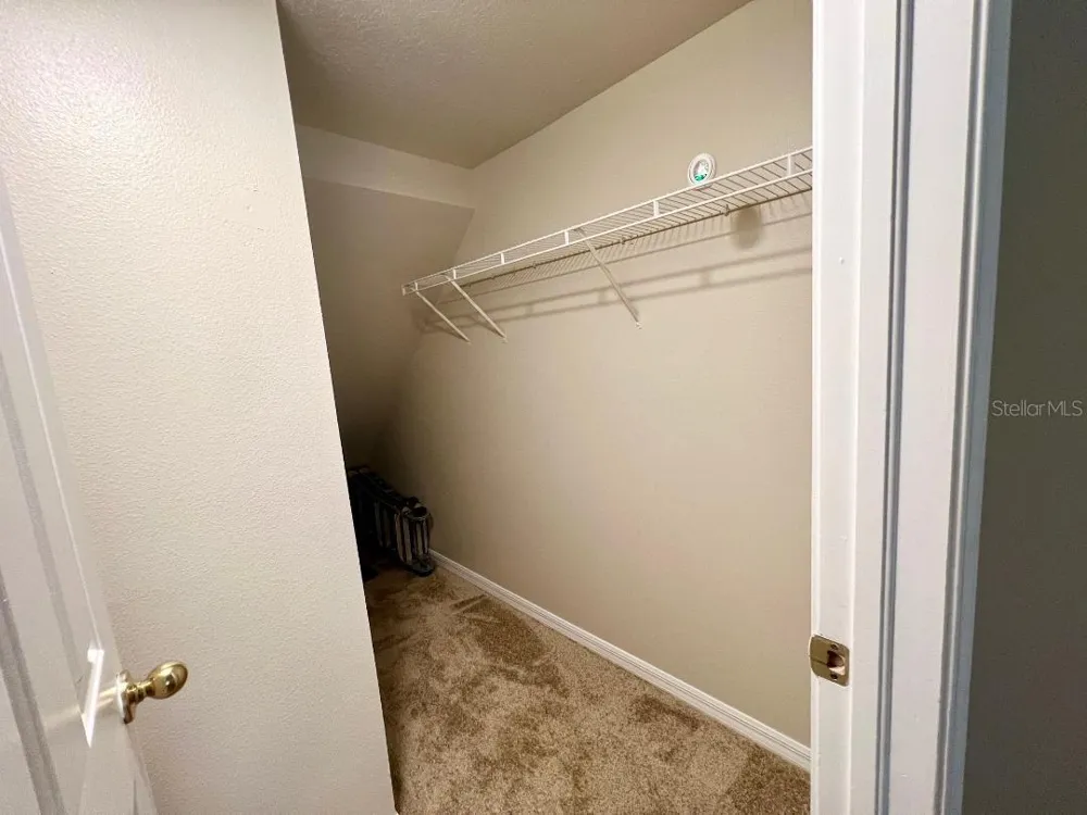 30202 SWINFORD LANE Wesley Chapel, FL 33543