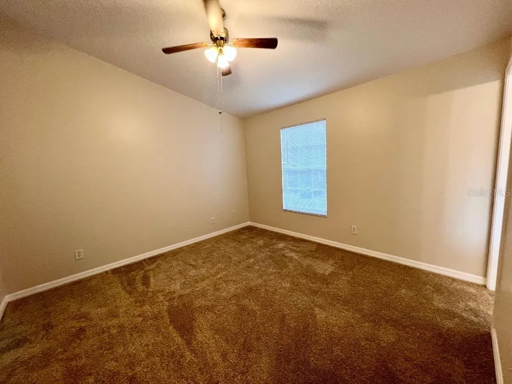 30202 SWINFORD LANE Wesley Chapel, FL 33543