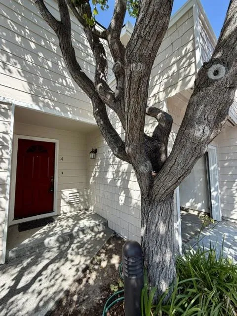 173 Sierra Vista Avenue #14