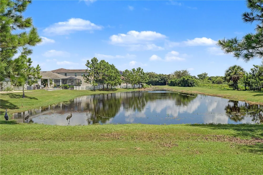 10530 MEDFORD LAKE DRIVE Riverview, FL 33578