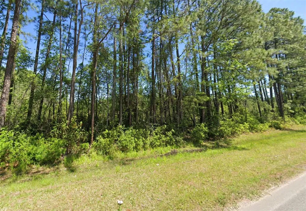 4739 COUNTY ROAD 218 ROAD Middleburg, FL 32068