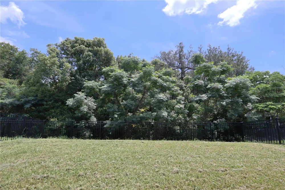 13726 WHISKEY DAISY DRIVE Dade City, FL 33525